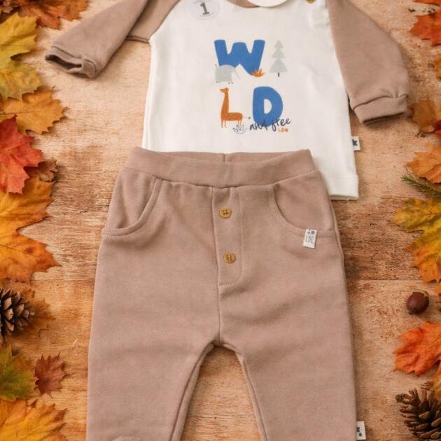 Set Luz de Estrellita